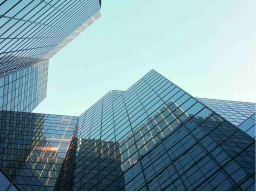 ESSENZIELLES GESCHÄFTS-ERBSTÜCK (Unternehmens-Stärkung)