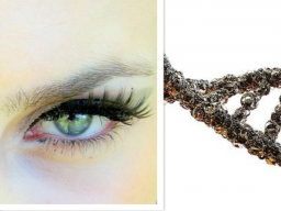 AKTIVIERUNG JUGENDGEN & 24. CHROMOSOMENPAAR + DMT-Bewusstseinsgen Initiation