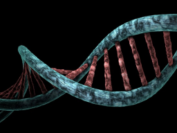 INITIATION/COACHING: AVATAR 999 - 13-STRANG - DNS/DNA - Aktivierung