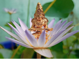 SARASVATI EMPOWERMENT - Knowledge for Wisdom/Solutions - DISTANT INITIATION!