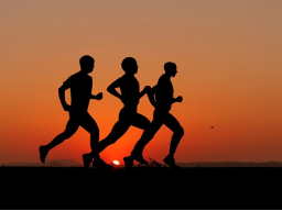 BIMA's ENERGETIC BODY - Endurance/Strength