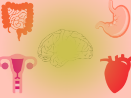 Licht Organ IMPLANTATION