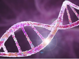 12 Strang DNA Aktivierung