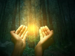 GLOVE SYSTEM GESAMTPAKET - UMWANDLUNGS-HANDSCHUHE