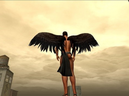 FERNAUSBILDUNG ZUM AVATAR - ENGEL MEDIUM - 6 FERNEINWEIHUNGEN