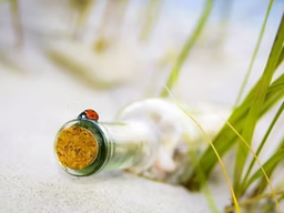 SEELENBEWUSSTSEIN (7 Transmissionsschritte bis zur Seelenerleuchtung)