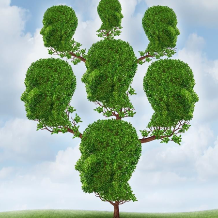 BLUTLINIEN REINIGUNG EINWEIHUNG (Reinigung vererbter Negativität)