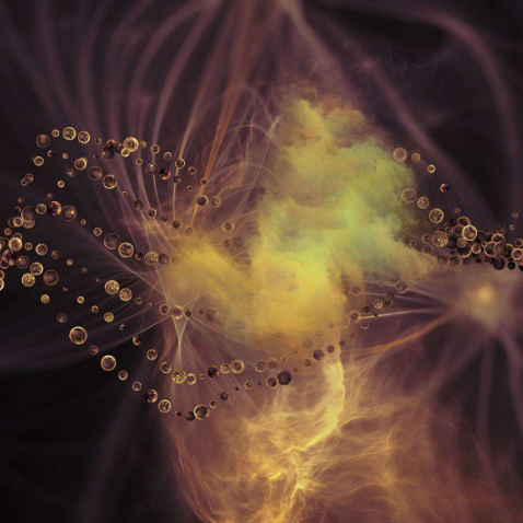 REICHTUMS DNA AKTIVIERUNG (Füllebewusstsein anzapfen und leben!)