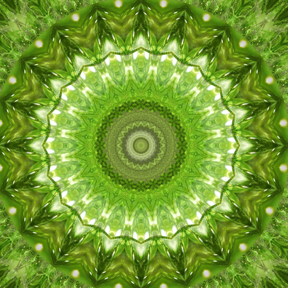 Coaching-Serie  "SOULMIX" - Sonder-Edition! 8 lebensbereichernde Energien!