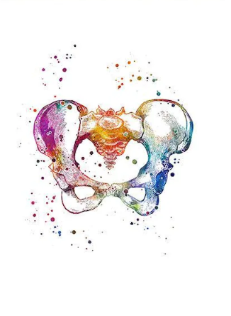 THE PELVIC ROOT SOVEREIGNTY GRID (Die heilige Kraft des unteren Fundaments zurückgewinnen -Ein vierstufiges energetisches Rekonstruktionssystem - Beckenboden)