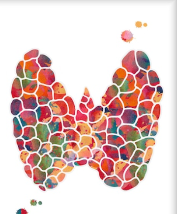 THE THYROID REGULATION CODEX (6 levels) - (Ein sechsstufiges Energiesystem für endokrine Stabilität, Stoffwechselrhythmus und Hals-Körper-Kohärenz - Schilddrüsenregulation)