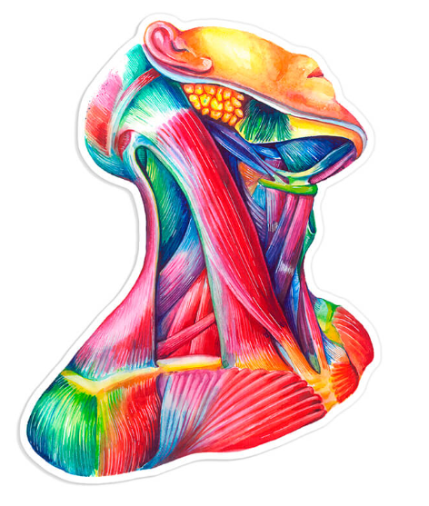 THE THROAT RECOVERY AFTER ILLNESS CODEX (3 levels) - (Ein dreistufiges Energiesystem zur Regeneration nach Infektionen und zur Stärkung der Widerstandsfähigkeit des Rachens)