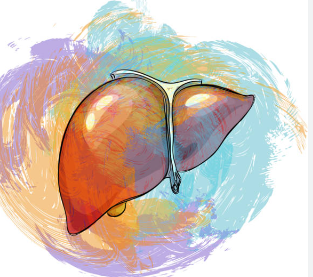 THE LIVER BOUNDARY & OVERLOAD PROTECTION GRID (4 levels)  - (Ein vierstufiges Energiesystem zur Vorbeugung von Überlastung, und emotionaler Überforderung, so wie Stress)