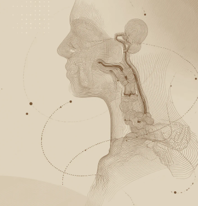 HEILUNG HUNGER- & SÄTTIGUNGS-HORMON (Ghrelin & Leptin - Optimierung) - nach Natara