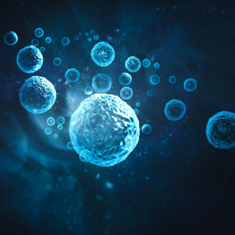 HEALING CELL HARMONY ATTACHMENT (Rejuvenation/Renewal)