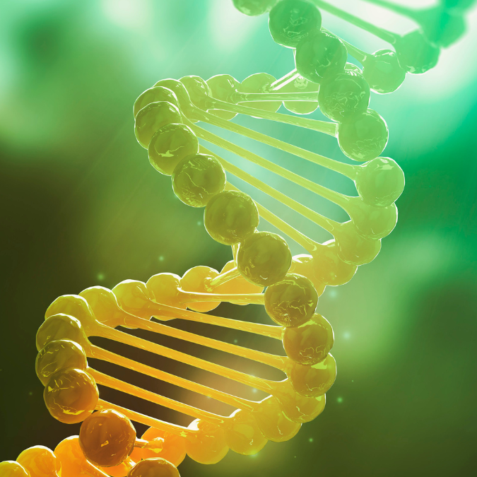 AKTIVIERUNGS-RITUS DER 12 DNA-STRÄNGE - Richte dein Wesen auf die Multidimensionalität aus