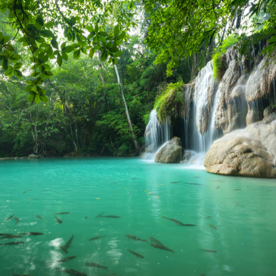 AKTIVIERUNG/ÖFFNUNG DER ZEITLINIE LEMURIA.0 - BEREIT FÜR DIE KRAFT LEMURIAS?