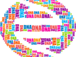 Entfernen von DNA Karma - Dna karma removing