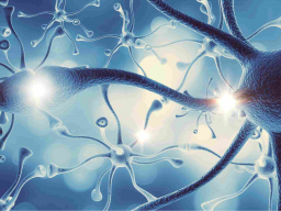 Parasympathetic nervous system - sympathetic nervous system - for the nervous system