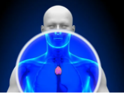 THYMUS CHAKRA MIND FUELING AND CLEANSING