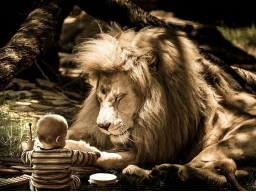 LEMURIANISCHE-NERVEN-CODE AKTIVIERUNG - nach Natara