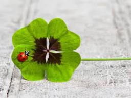 VIP Success and Luck - VIP- ERFOLGS - und GLÜCKSEINWEIHUNG